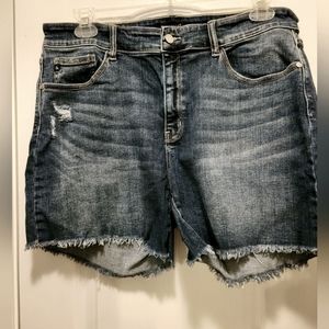 Judy Blue Plus size shorts
